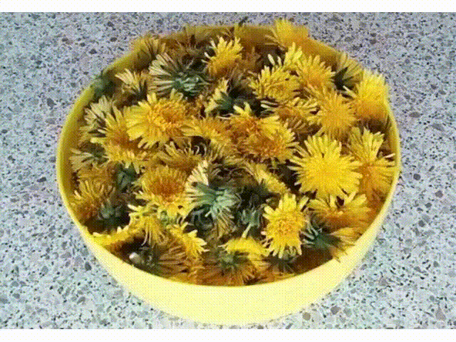 Одуванчик - ЭЛИКСИР ЖИЗНИ, А КАКОЕ ЛЕКАРСТВО!!!
Лекарственный одуванчик — растение неприхотливое, но содержащее в себе добрую половину химических элементов таблицы Менделеева.
Натрий, калий, марганец, магний, алюминий, железо, медь, кальций, а также витамины А, С, F и группы В.
Издавна за одуванчиком закрепился статус «эликсира жизни», обладающего болеутоляющим, желчегонным, мочегонным, потогонным, противовоспалительным и тонизирующим действиями.
Во Франции его разводят на плантациях. Листья его