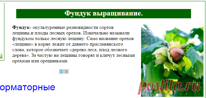 Фундук орех.Лещина.