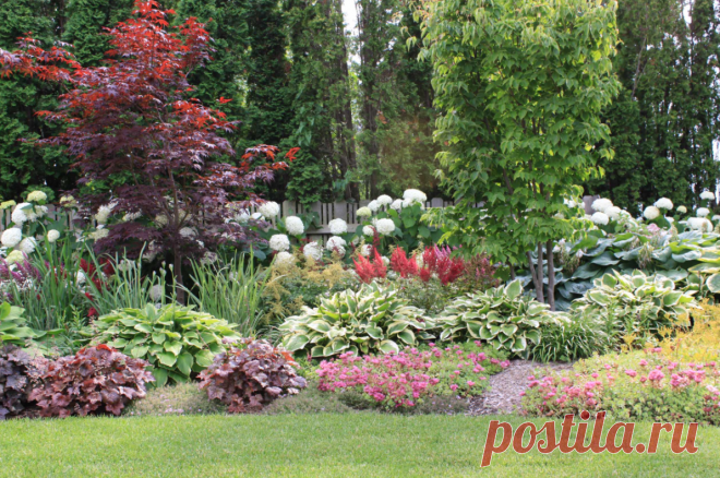 Если вы хотите наслаждаться красивым садом из шезлонга с книгой, а не с грядок с тяпкой, то спланируйте ландшафт и подберите неприхотливые растения. Рассказываем, как создать сад, требующий минимального ухода: