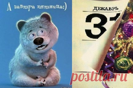 Ольга Владимировна