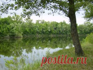 В ерики и озера Волго-Ахтубинской поймы закачали 400 тысяч кубометров воды
