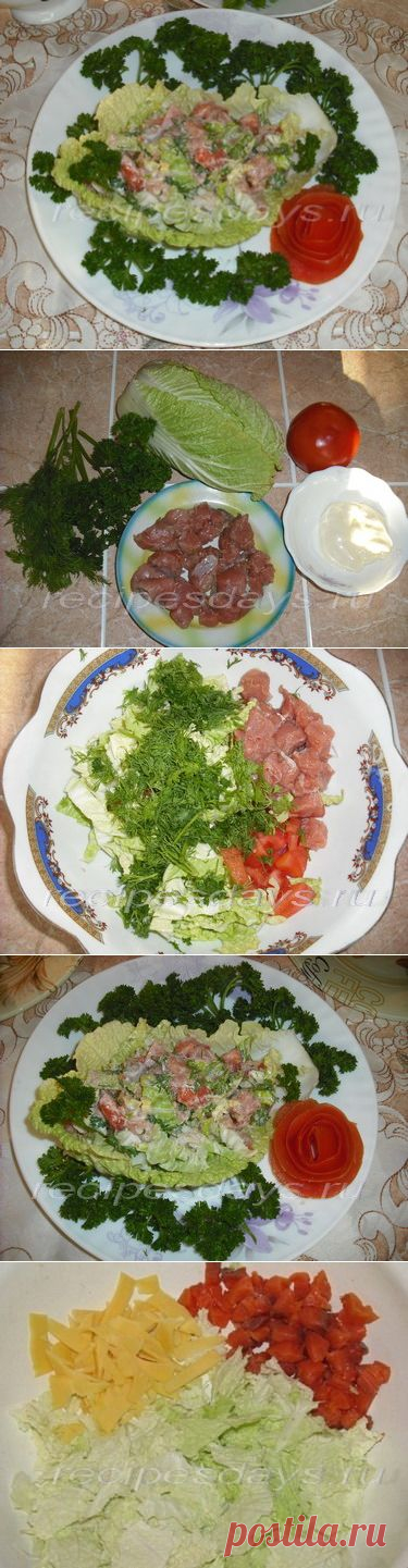 Салат из красной рыбы и пекинской капусты | Рецепты дня