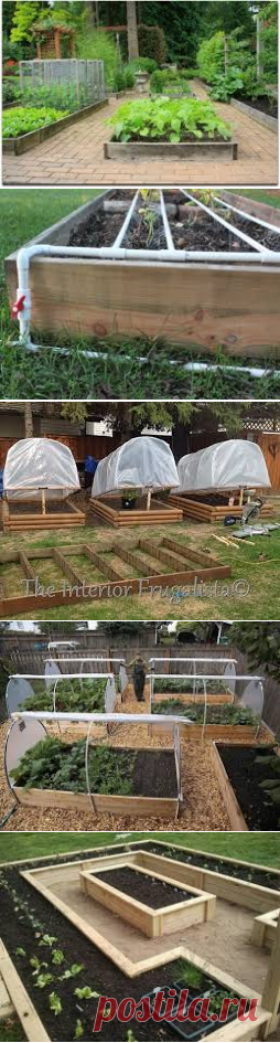 growing in winter in raised beds in greenhouse - Поиск в Google