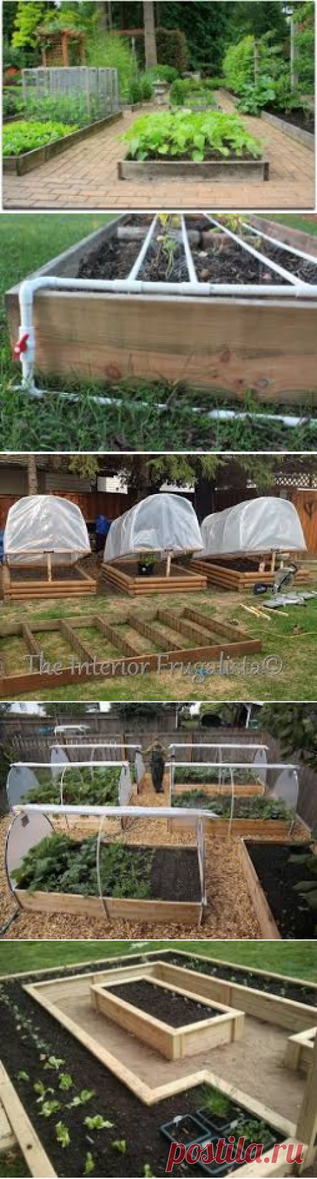 growing in winter in raised beds in greenhouse - Поиск в Google