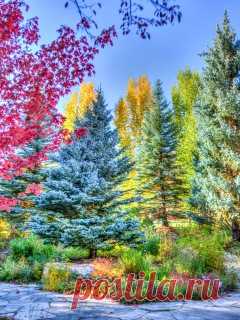 Скачать 240x320 Вайле, колорадо, парк, hdr обои, картинки Mobile Phone 240x320