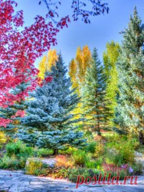 Скачать 240x320 Вайле, колорадо, парк, hdr обои, картинки Mobile Phone 240x320