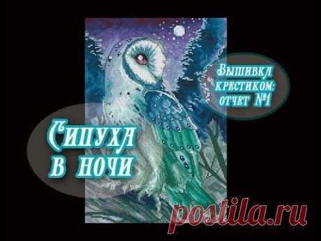 Вышивка крестом: Сипуха в ночи. Отчет №1