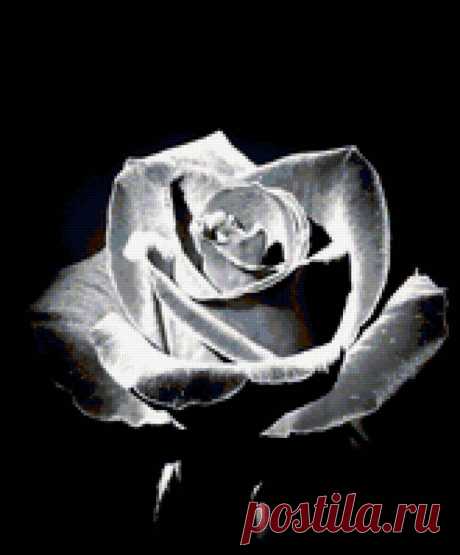 роза (монохром) - Схемы вышивки - draco - Авторы - Портал «Вышивка крестом»