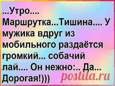 (99) Одноклассники