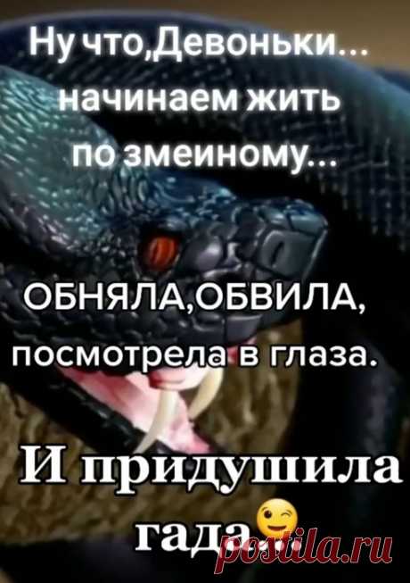 Юмор&gt;Чисто женское,,,,