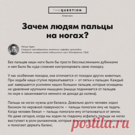 Ну, наконец-то! Теперь я знаю, зачем мне пальцы на ногах.