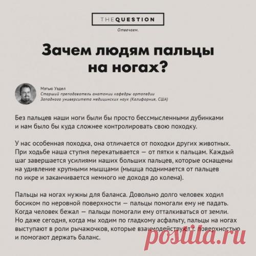Ну, наконец-то! Теперь я знаю, зачем мне пальцы на ногах.