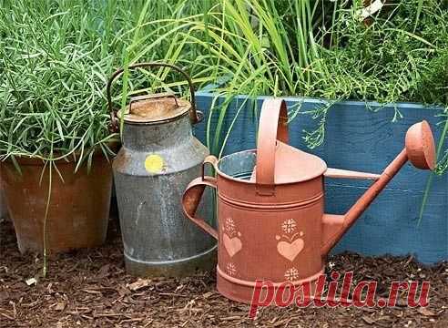 Настои от вредителей - Садоводка