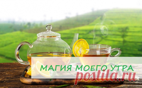 ☀Моя магия утра!☀

Утром я всегда просыпаюсь и 🙏 благодарю за утренний свет, за то, что я живу на этой земле, вижу солнце, люблю, творю, созидаю, благодарю за то, что у меня было, есть и будет.

Потом выпиваю чашечку воды с лимонным соком и делаю мою любимую йогу. Вода с мёдом и 🍋 лимоном очищает тело и душу, омолаживает и настраивает на ритм дня, а Йога это вообще чудо!