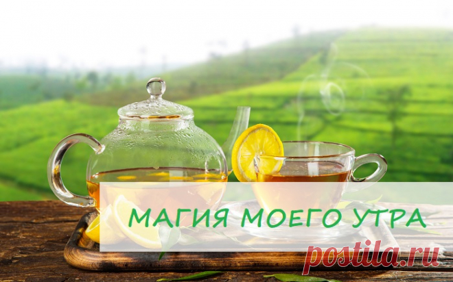 ☀Моя магия утра!☀

Утром я всегда просыпаюсь и 🙏 благодарю за утренний свет, за то, что я живу на этой земле, вижу солнце, люблю, творю, созидаю, благодарю за то, что у меня было, есть и будет.

Потом выпиваю чашечку воды с лимонным соком и делаю мою любимую йогу. Вода с мёдом и 🍋 лимоном очищает тело и душу, омолаживает и настраивает на ритм дня, а Йога это вообще чудо!