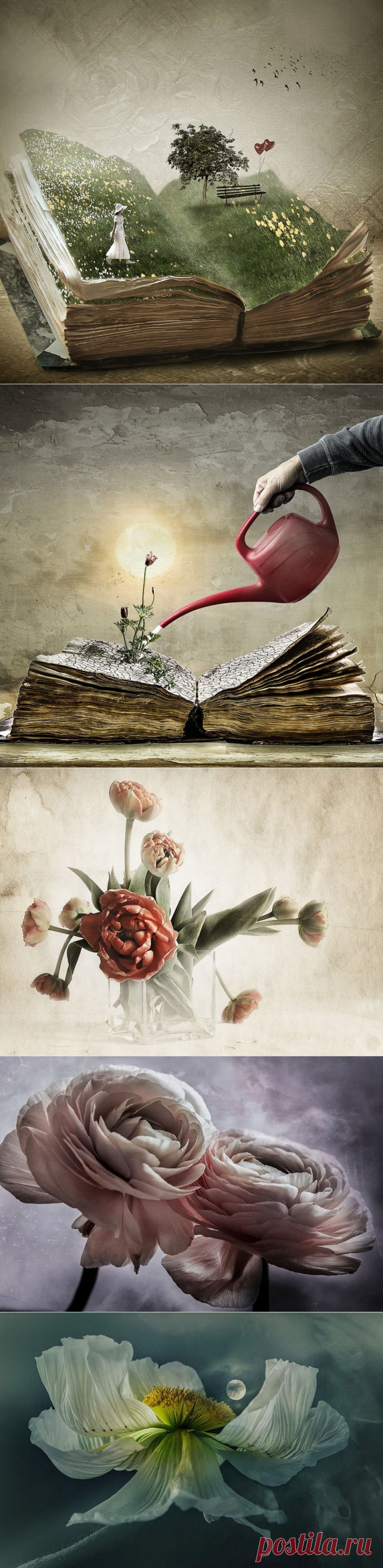 Фотохудожник Christine Ellger. Про доброе, поучительное, цветочное