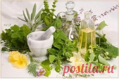 50 растений, очищающих организм от паразитов / Будьте здоровы