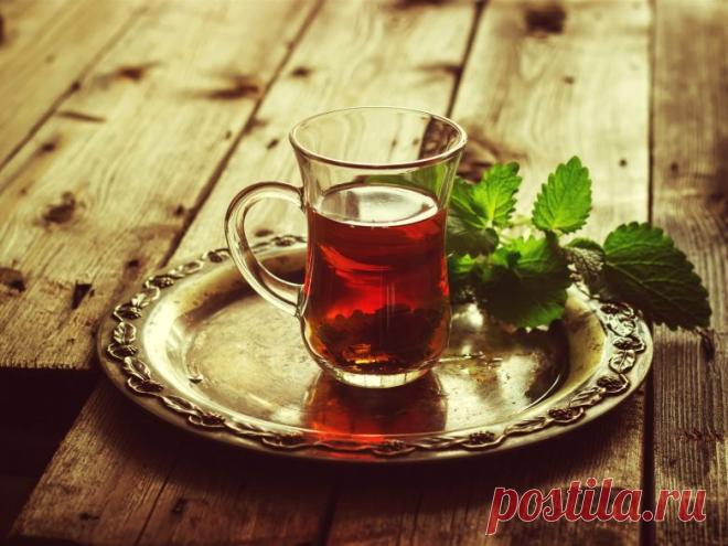 Как проверить качество воды не выходя из дома / Домоседы