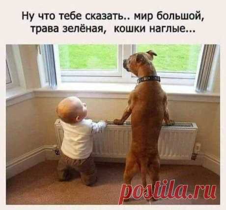С нами не скучно! Смотри, Слушай, Играй...