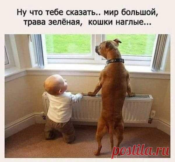 С нами не скучно! Смотри, Слушай, Играй...