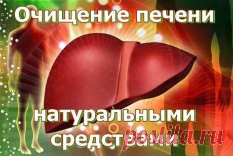 Топ-5 продуктов, которые очистят печень от токсинов.