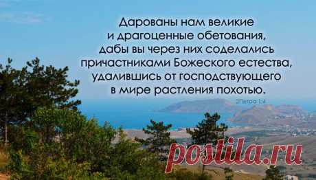 Хотите ли быть причастниками Божьего естества? Удаляетесь ли от растления похотью?