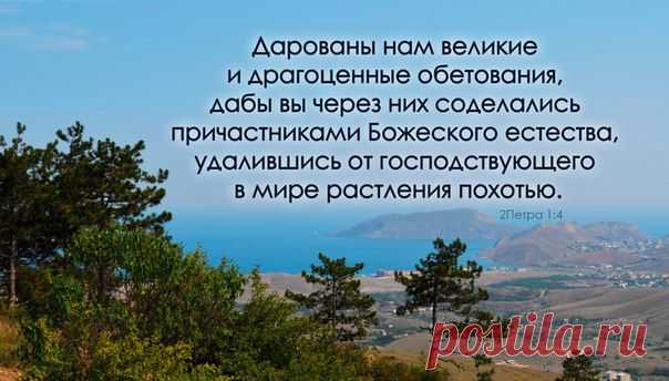 Хотите ли быть причастниками Божьего естества? Удаляетесь ли от растления похотью?