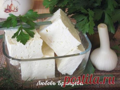 Рассольный сыр «Домашний»