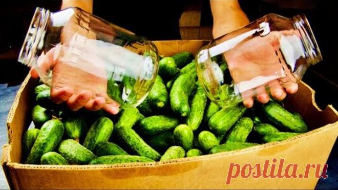 Солю ящиками уже 5 лет!!! Хрустят громче чипсов и НИКОГДА не взрываются!