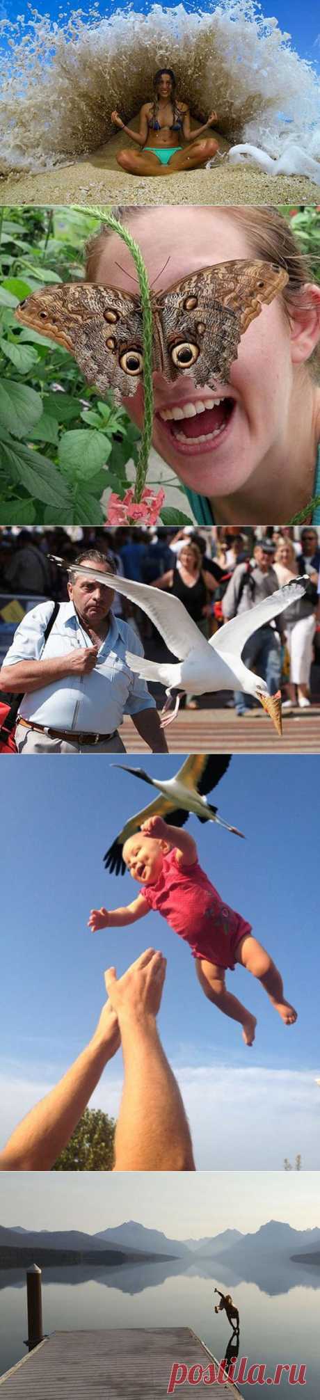 Лови момент: кадры, которые невозможно повторить | Вокруг света | Среда обитания