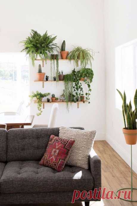 (9) Pinterest • Dünyanın fikir kataloğu