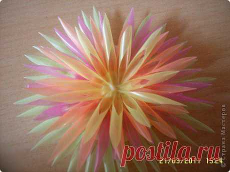 Цветы из коктейльных трубочек - очень просто! (мастер-класс и идеи) » Женский Мир