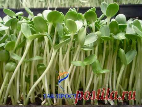 &quot;В 40 лет поставили мне диагноз - рак двенадцатиперстной кишки 3 степени.