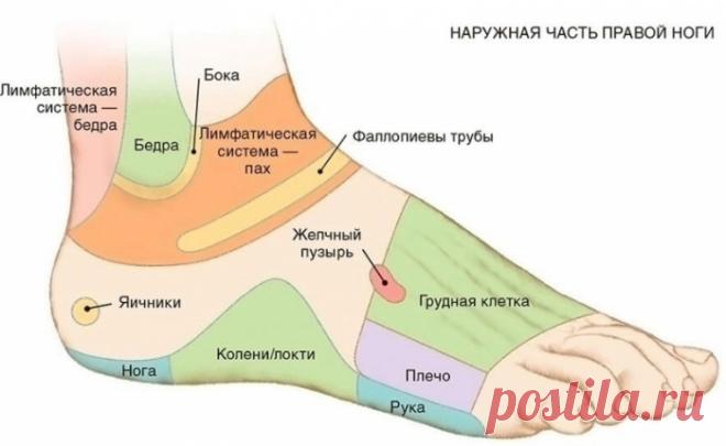 7 АКТИВНЫХ ТОЧЕК НА СТОПЕ, КОТОРЫЕ ВЕРНУТ ВАС К ЖИЗНИ ЗА ПАРУ МИНУТ!