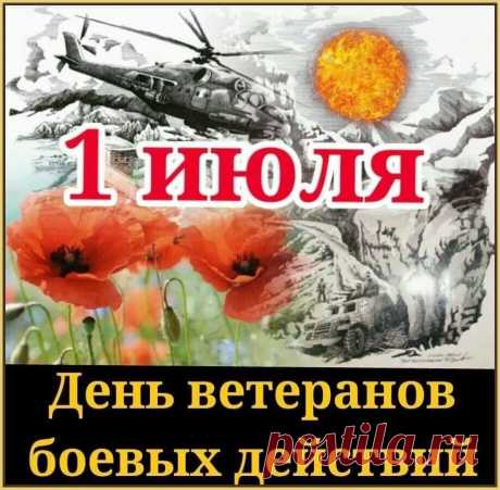Поздравляем вас, ветераны,
Через столько всего вы прошли!
И зажить не смогут те раны,
Что вам насквозь душу прожгли!