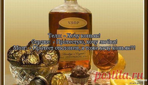 Интересные новости
