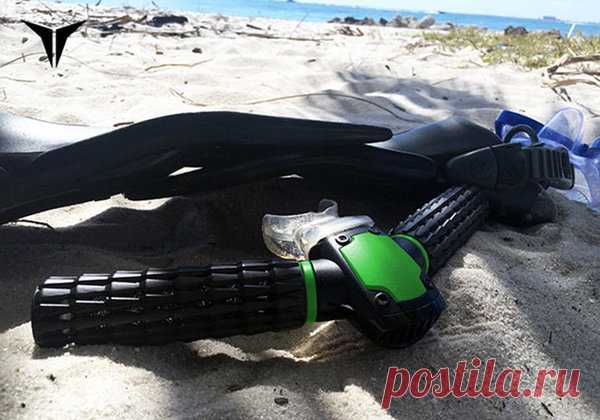 Тритон - жабры для подводного плавания. | наука и факты | Яндекс Дзен