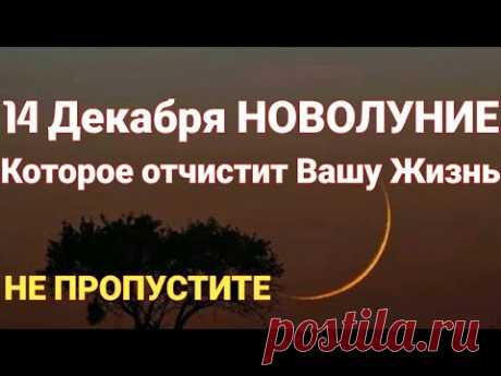 14 Декабря Новолуние которое отчистит вас от негатива