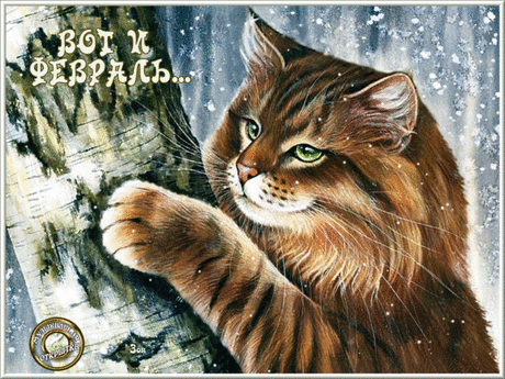 (5) Мой Мир@Mail.Ru