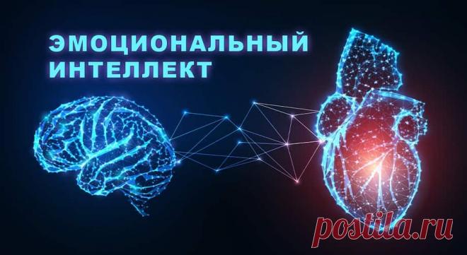 Как развить эмоциональный интеллект у ребенка? | Семья и ребенок