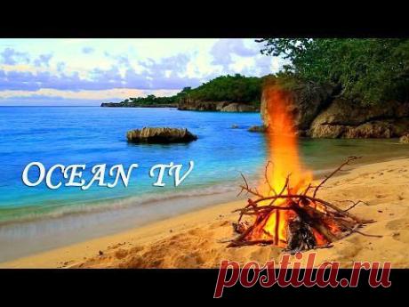 Татьяна Дрожжина на Postila.ru