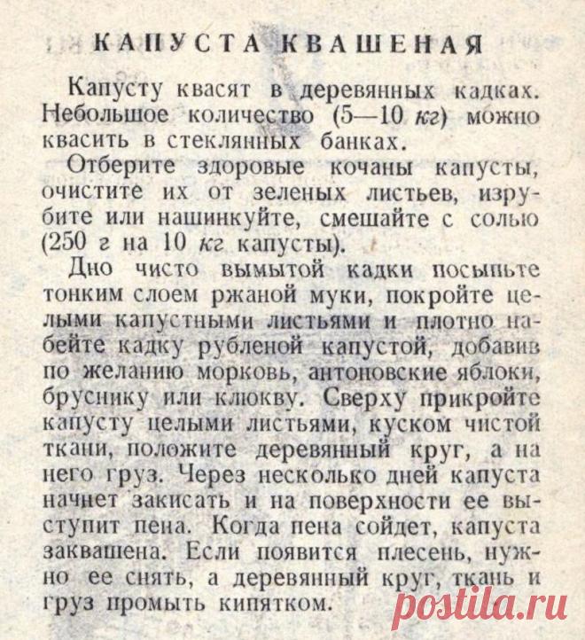 Капуста квашеная