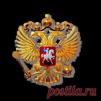 Защита прав граждан в полиции по Москве - Электронная приемная граждан