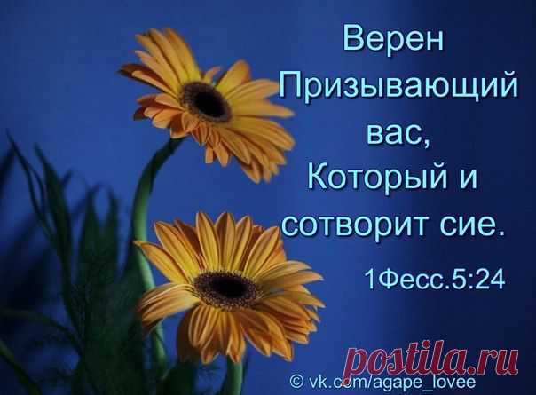 ♥...Агапэ...♥
