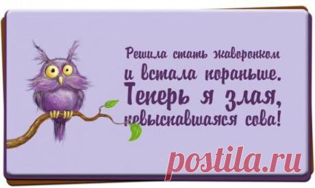 Прикольные фразочки в картинках))