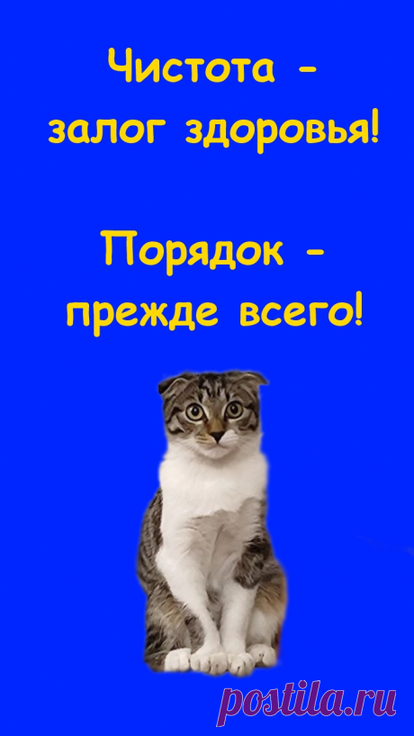 Кошка Нюша и стиральная машина. Чистота - залог здоровья! Порядок - прежде всего! Вот какая помощница хозяйке растет!

https://dzen.ru/video/watch/66499b459f017c0ee1b0f76d?share_to=link
