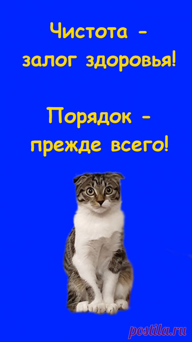 Кошка Нюша и стиральная машина. Чистота - залог здоровья! Порядок - прежде всего! Вот какая помощница хозяйке растет!

https://dzen.ru/video/watch/66499b459f017c0ee1b0f76d?share_to=link