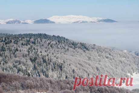 (1) This is Montenegro