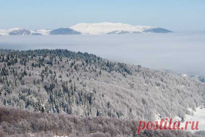 (1) This is Montenegro