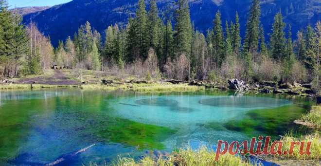 Гейзеровое озеро, Акташ (Алтай). Фото, где находится на карте и как добраться, отзывы — Туристер.Ру